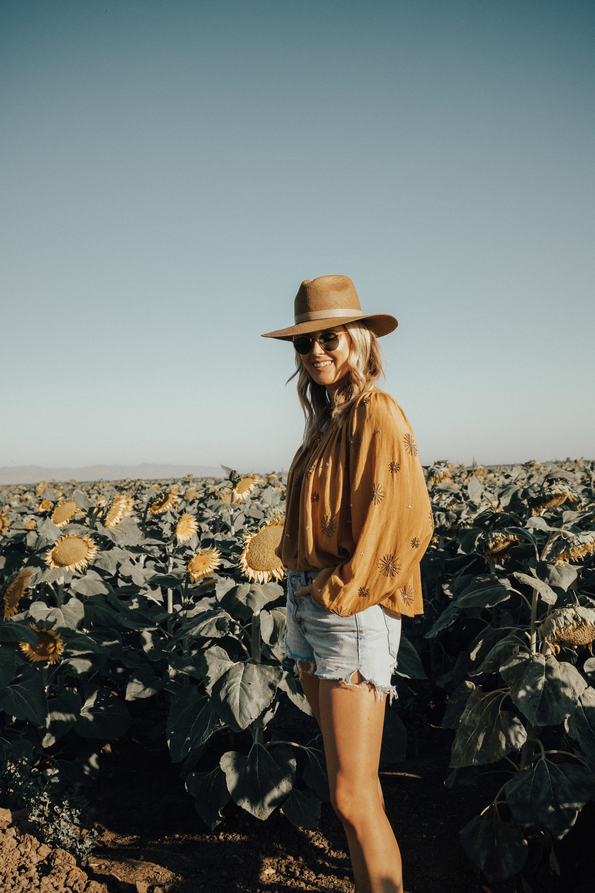 this-and-that-blog-sunflower-fields-northern-california-13.jpg