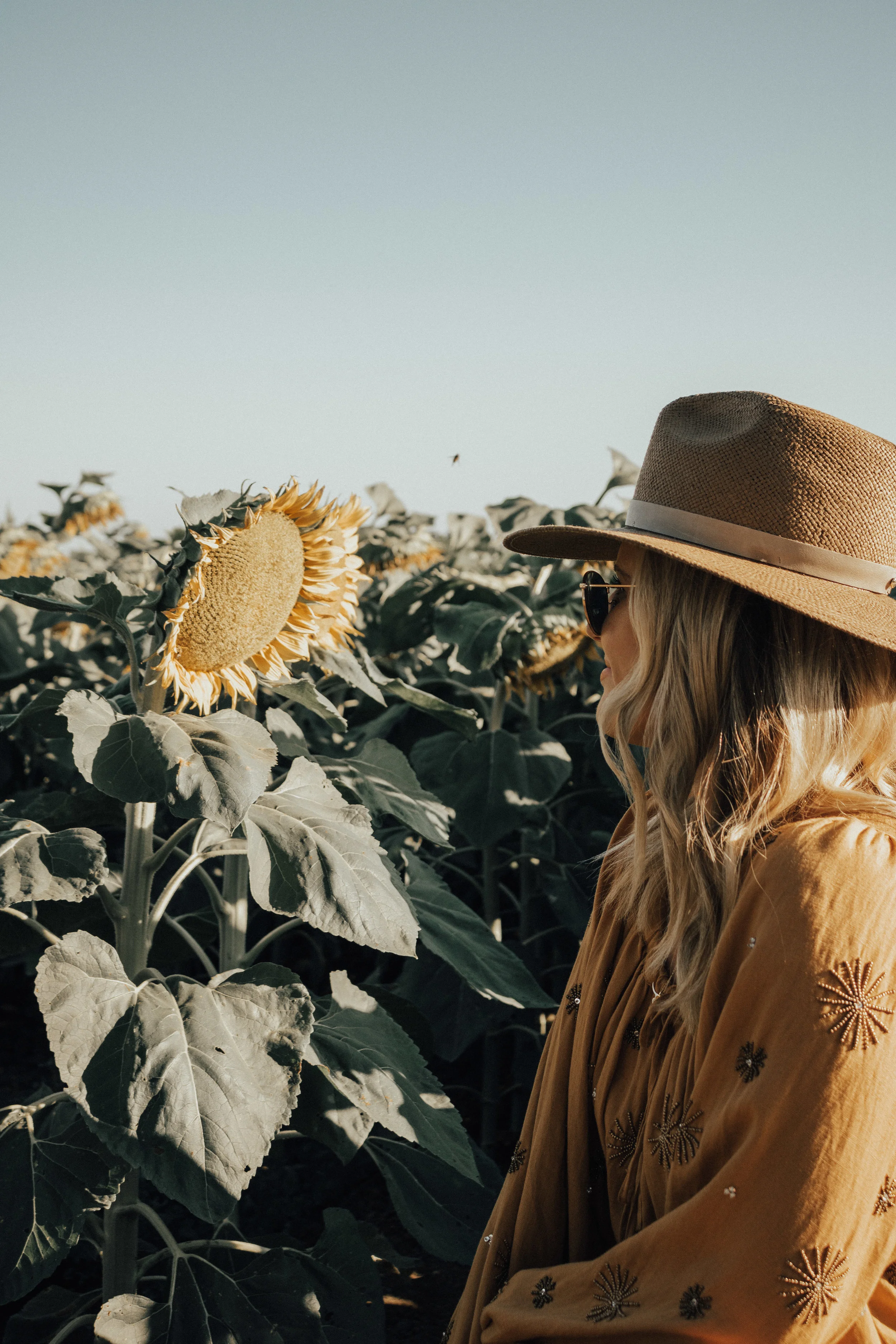 this-and-that-blog-sunflower-fields-northern-california-18.jpg