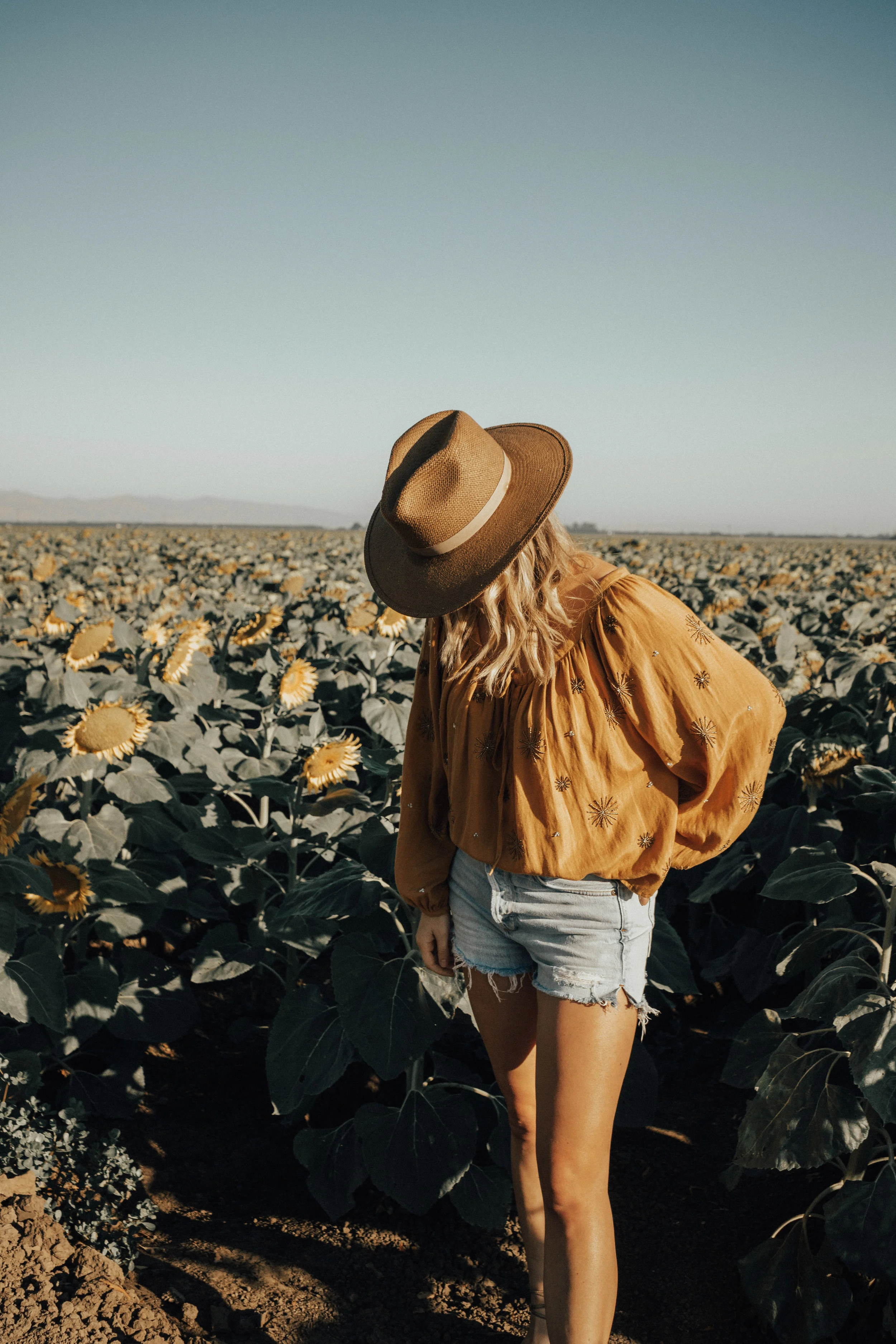 this-and-that-blog-sunflower-fields-northern-california-31.jpg