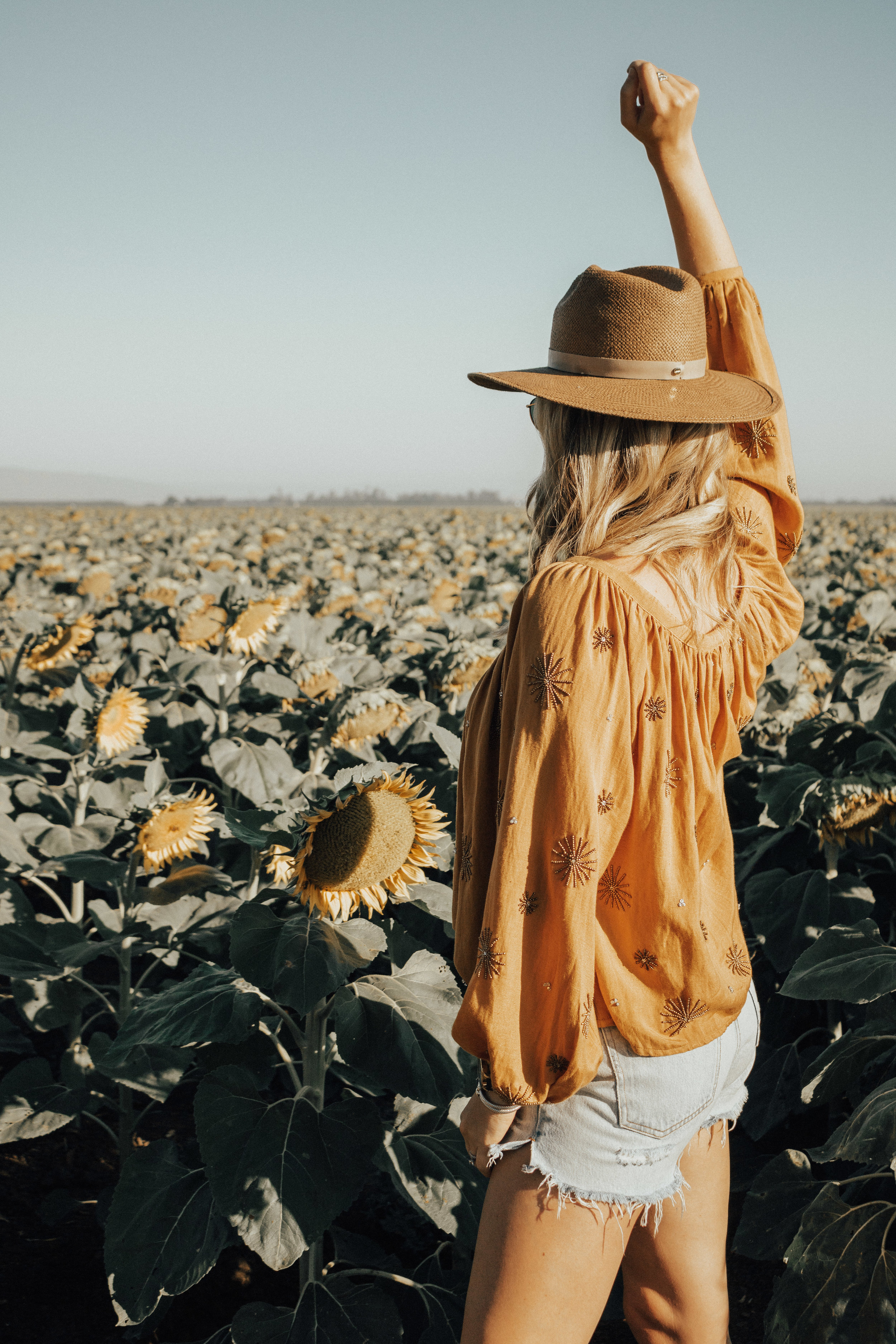 this-and-that-blog-sunflower-fields-northern-california-24.jpg