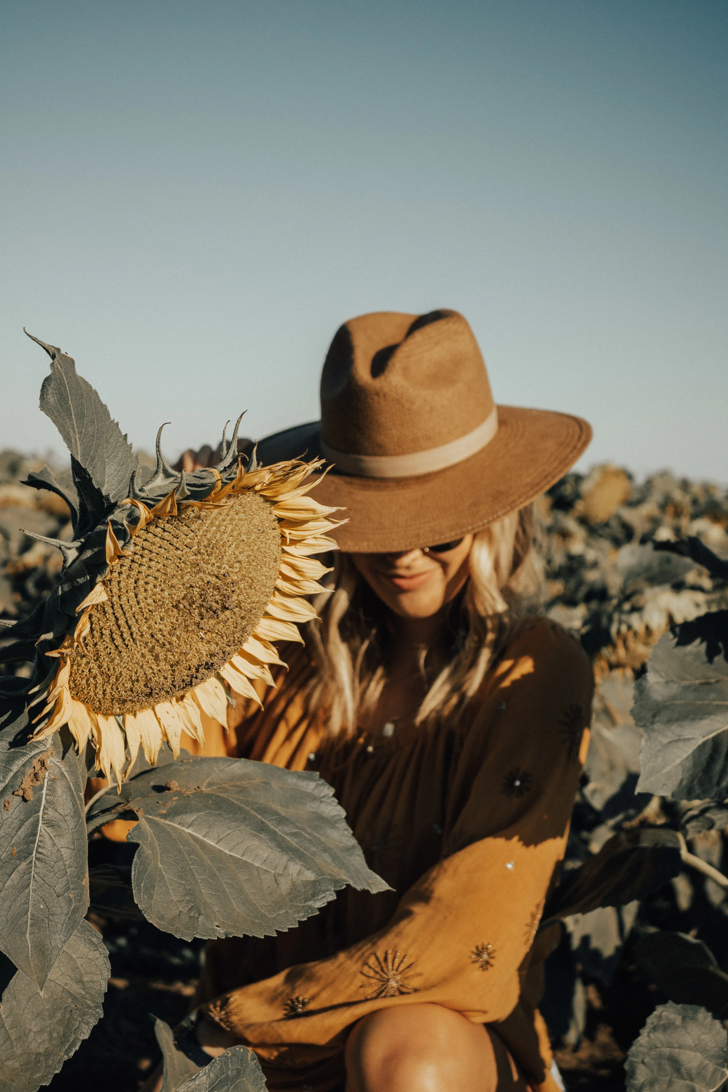 this-and-that-blog-sunflower-fields-northern-california-41.jpg