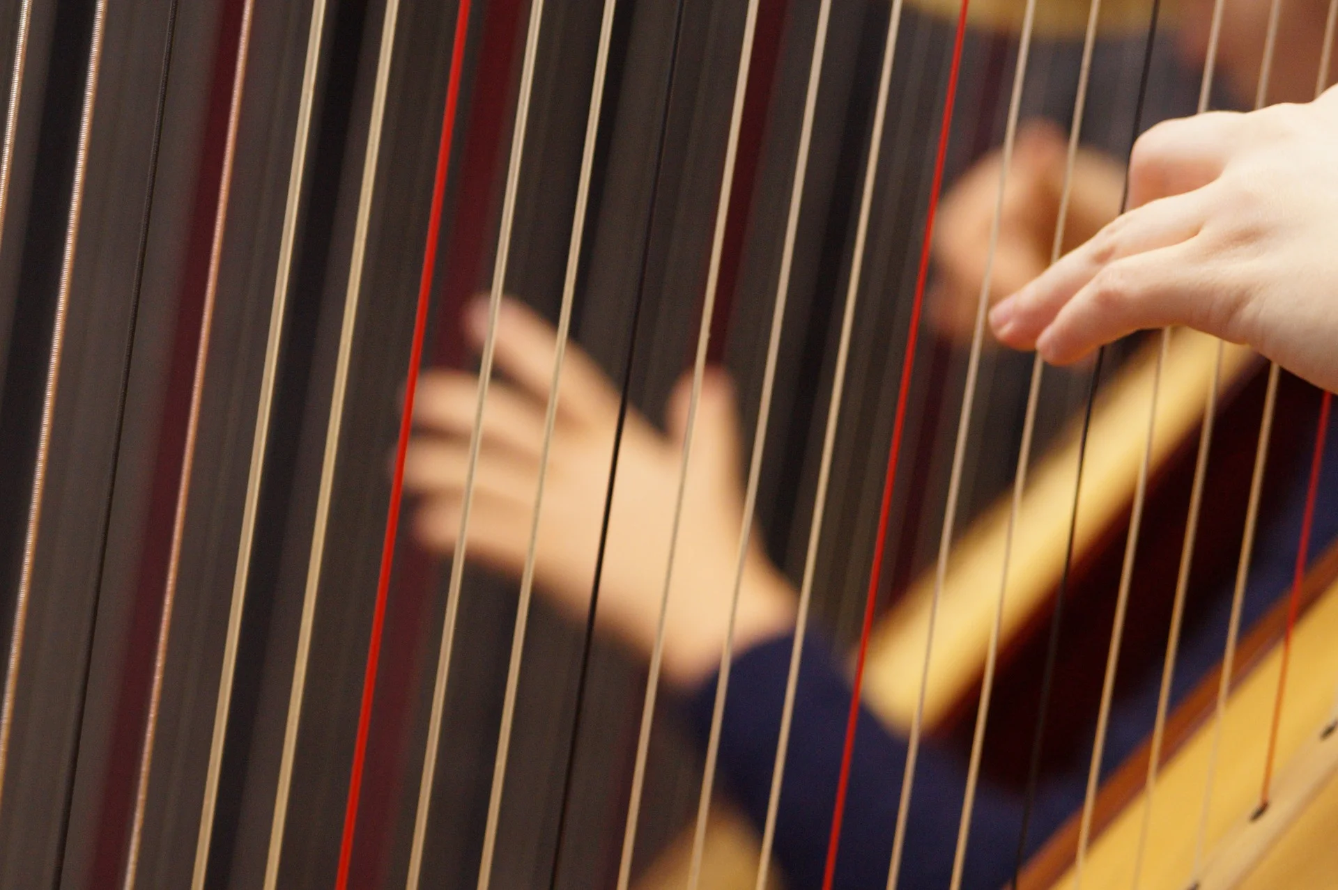 musical-instrument-1566606_1920.jpg