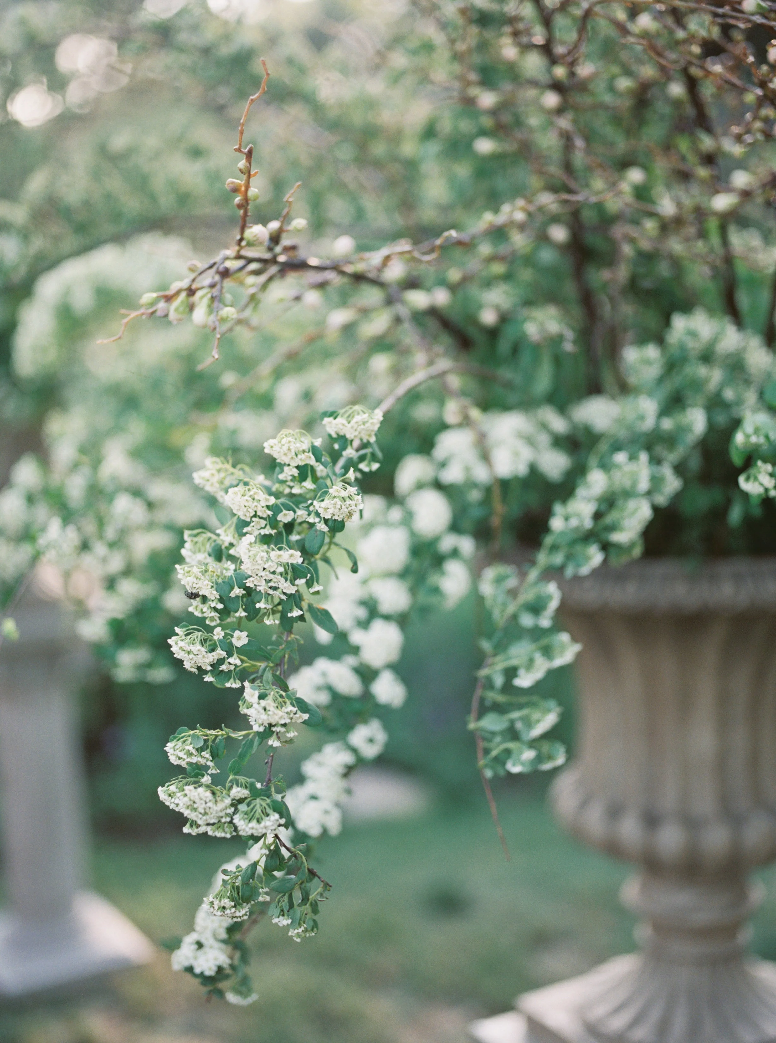 Ceremony-73.jpg