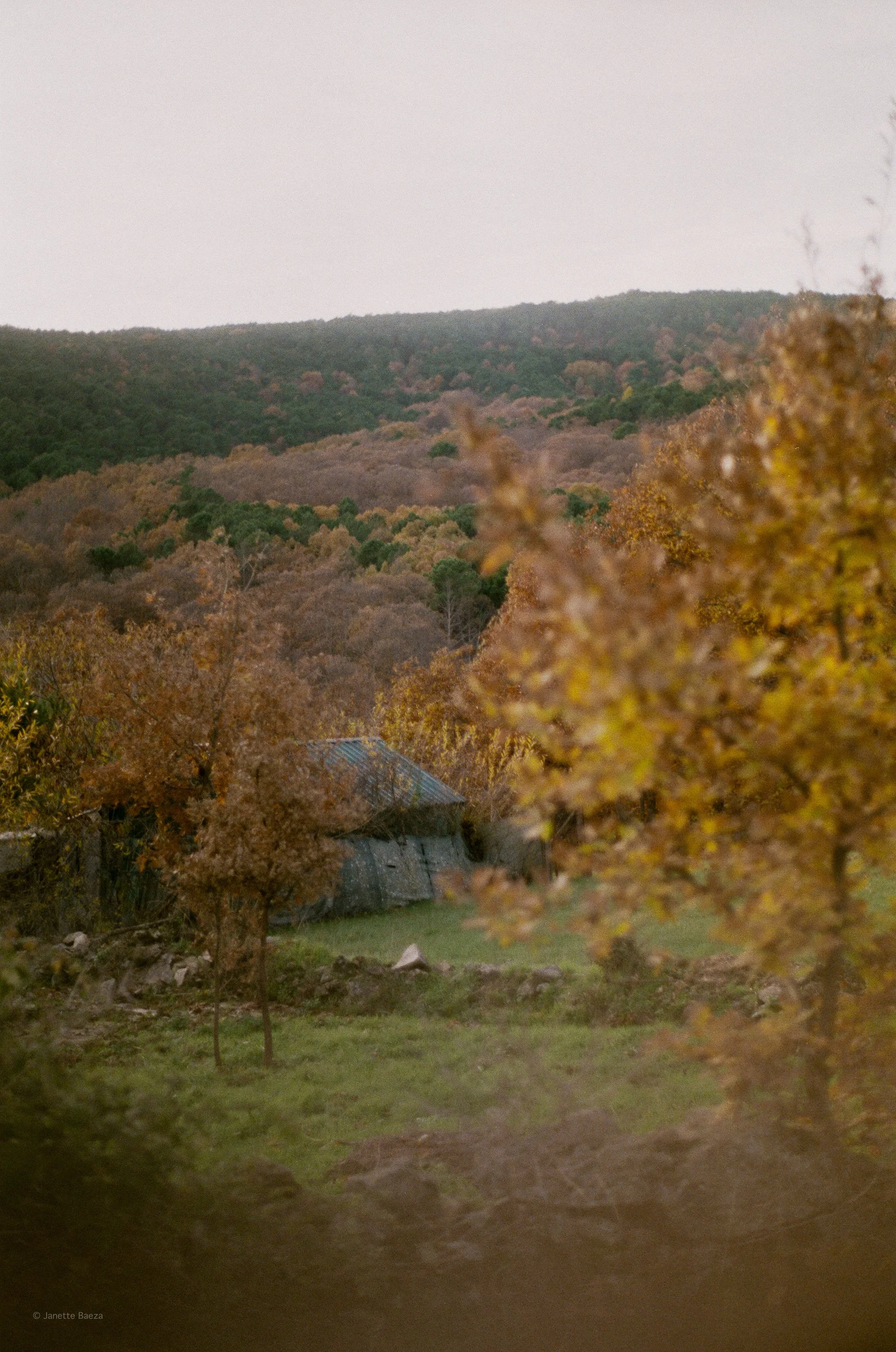 15044-1-FUJIFILM-FUJICOLOR-scan-32.jpg