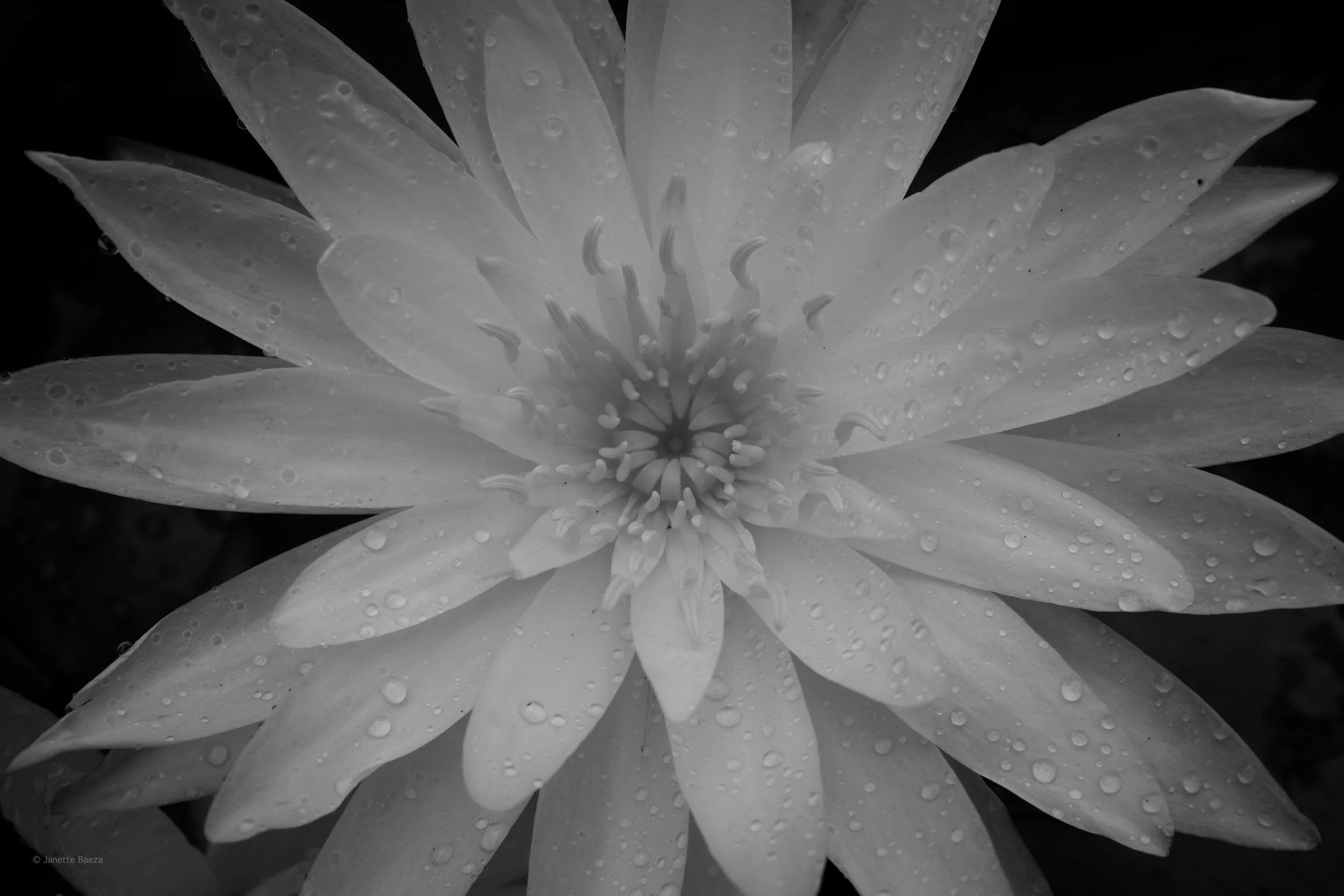 DSCF0210.jpg