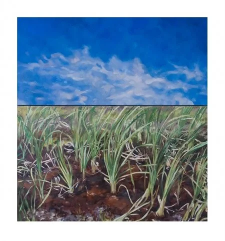 n505947162_2087934_1903172