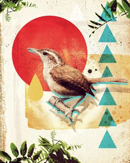 bird-collage