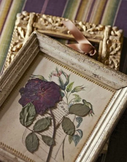 228003366_LbPwJG6N_c