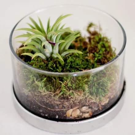 5380199924_666f52ea9d