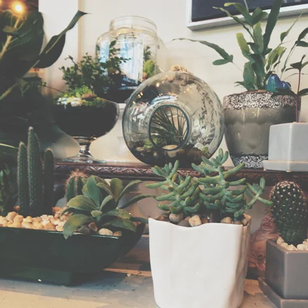 Processed with VSCOcam with t2 preset