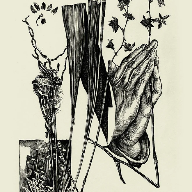 Chris Koelle