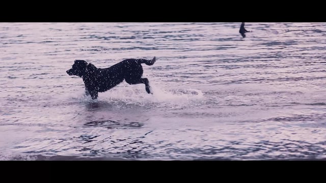 EIDER FILM by PAOLO RAELI