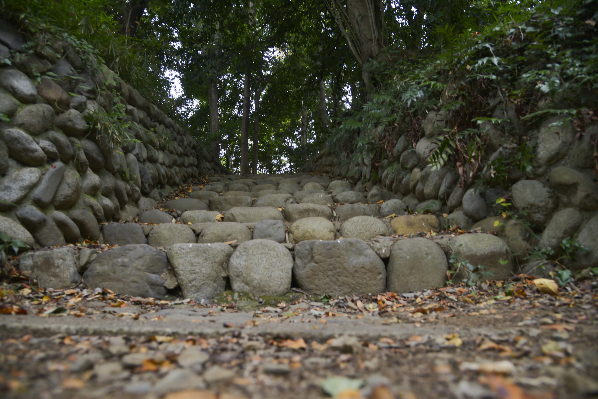 A rock stairway leads to a path on a hiking trail within the Takahata Fudo Temple grounds in Hino City, Japan, Nov. 1, 2015. There are 88 Buddhist statues along the trail that lead to an observation point and the Daishido Temple. (U.S. Air Force photo by Senior Airman David Owsianka/Released)