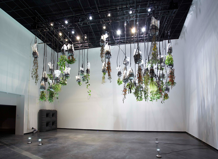 Alicia Frankovich, Medea 2010, installation view, commissioned by the Australian Centre for Contemporary Art, Melbourne