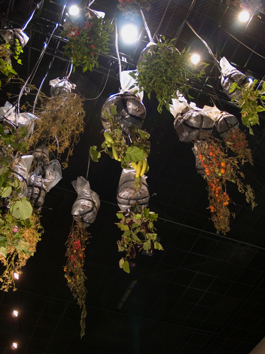 Alicia Frankovich, Medea 2010, installation view, commissioned by the Australian Centre for Contemporary Art, Melbourne