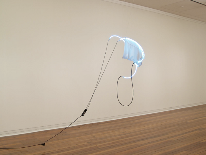 Alicia Frankovich, Rapture 2010, installation view, Dunedin Public Art Gallery