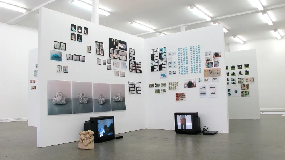 All the things I did, 2013, Chartwell Collection Auckland Art Gallery Toi o Tāmaki, (image; installation detail, Starkwhite, 2013)