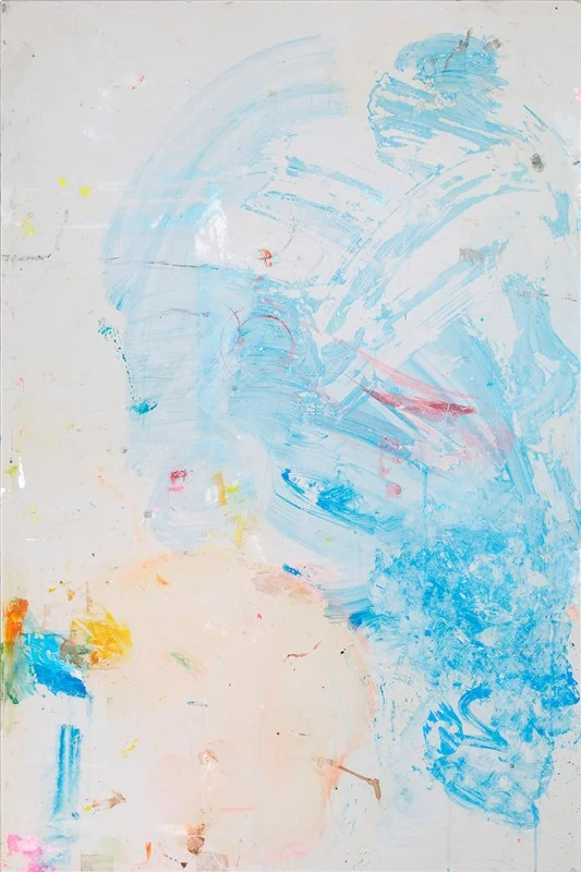 Attempt 18, 2017, colour photograph, 1200 x 800mm, Chartwell Collection, Auckland Art Gallery Toi o Tāmaki