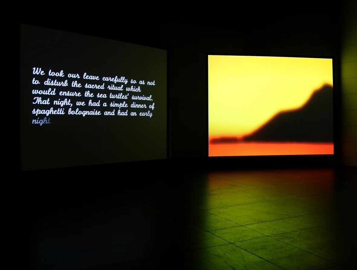 Turtle Twilight, 2006