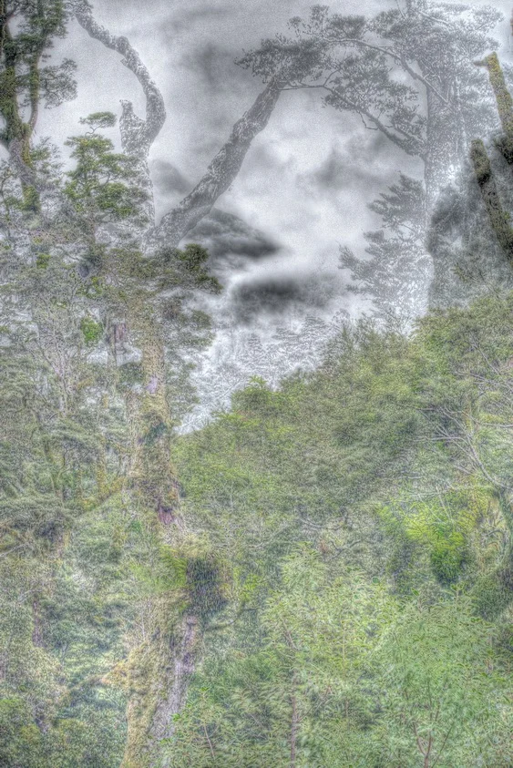 Hidden 2011