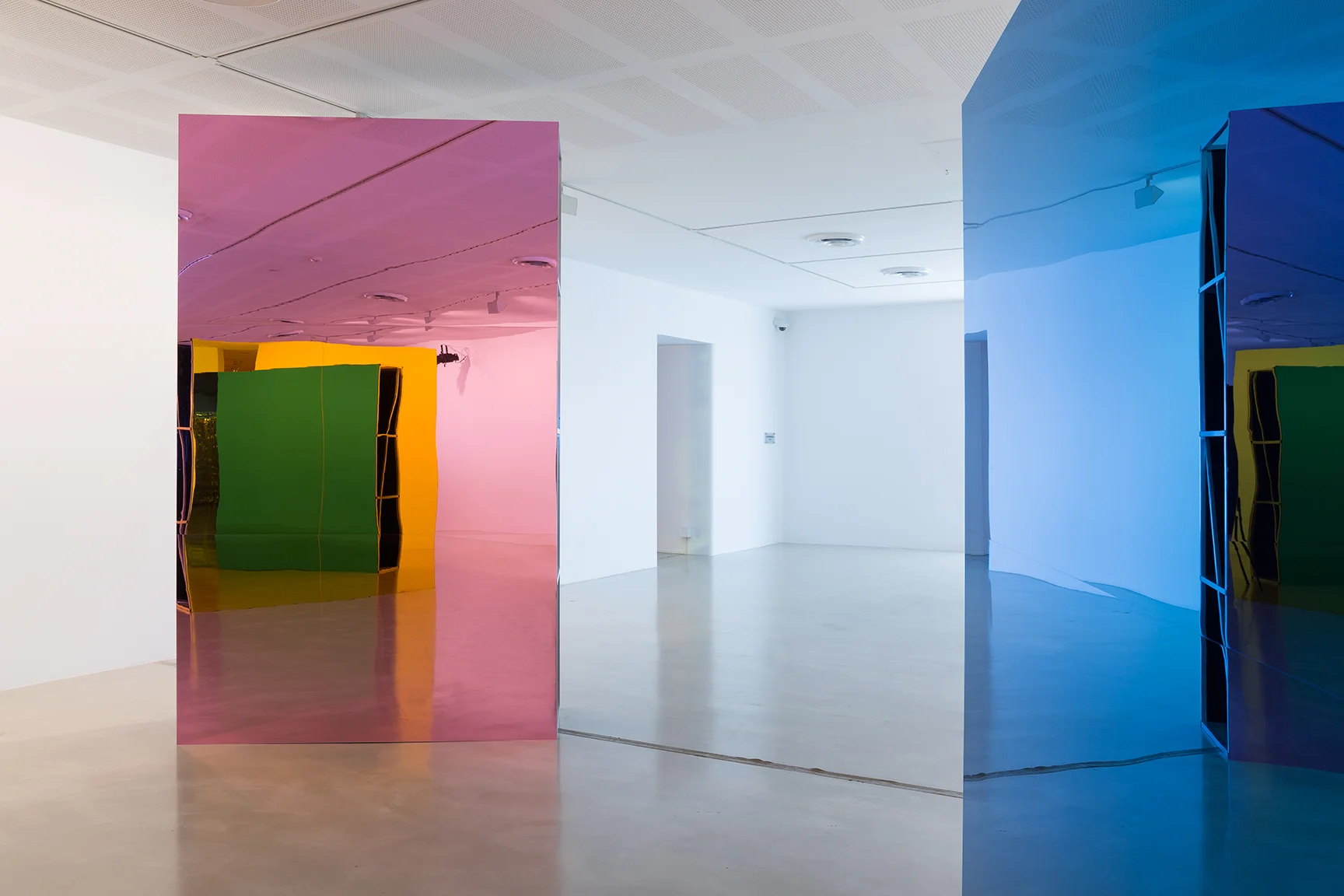 Rebecca Baumann and Brendan Van Hek Colour Restraint 2015