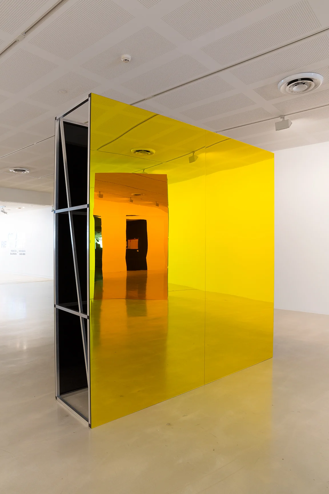 Rebecca Baumann and Brendan Van Hek Colour Restraint 2015