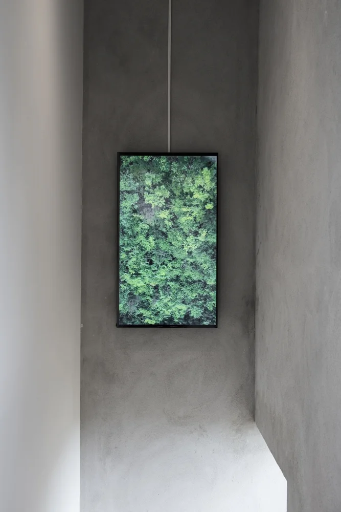 Installation view Seung Yul Oh, HaaPoom, Te Uru Waitakere Contemporary Gallery, 29 August - 8 November 2015 Photography: Sam Hartnett