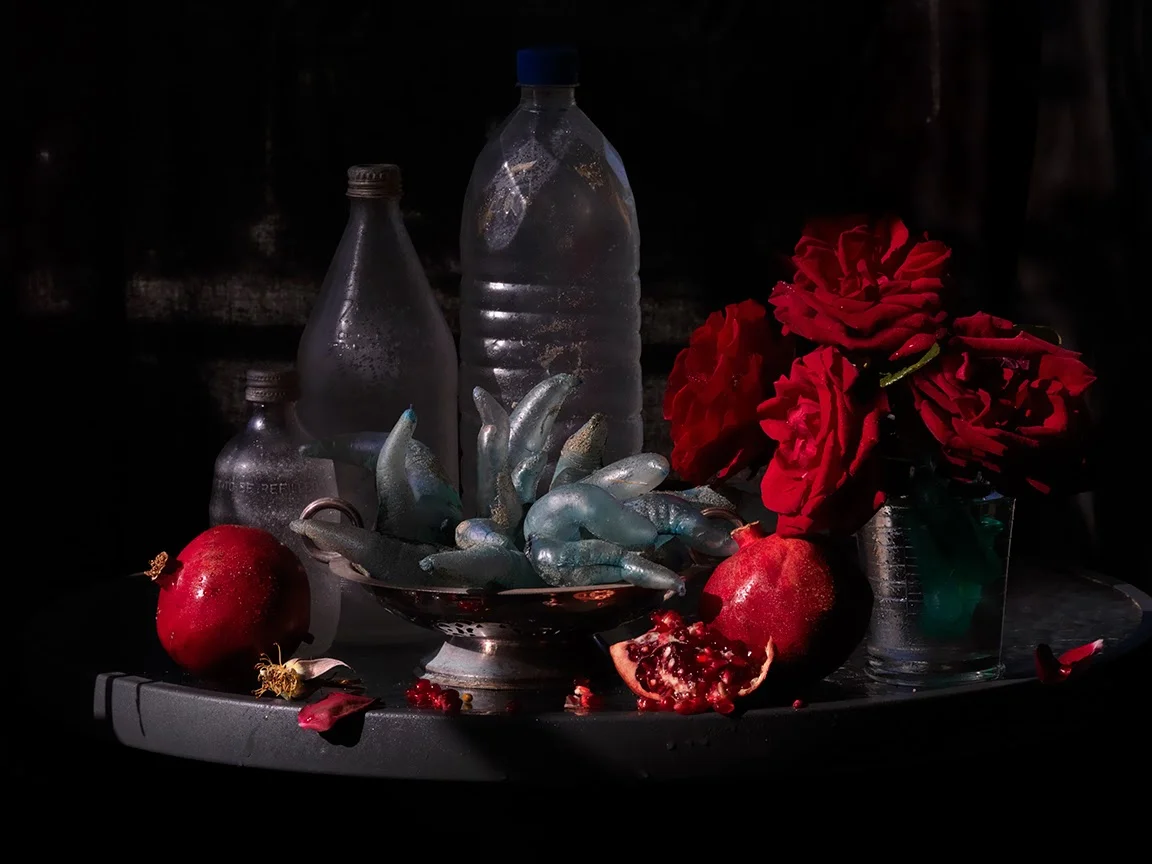 My Mother's Roses, Pomegranates and Silver Platter of Ihumoana, Ripiro Beach 2013