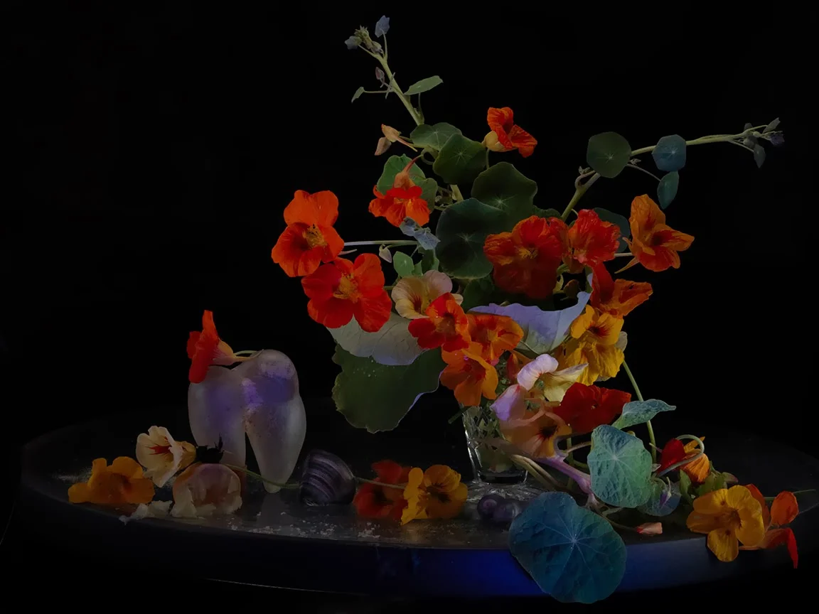 Still life with Nasturtiums in a Crystal vase and an Unknown Organic Object, Ripiro 2013