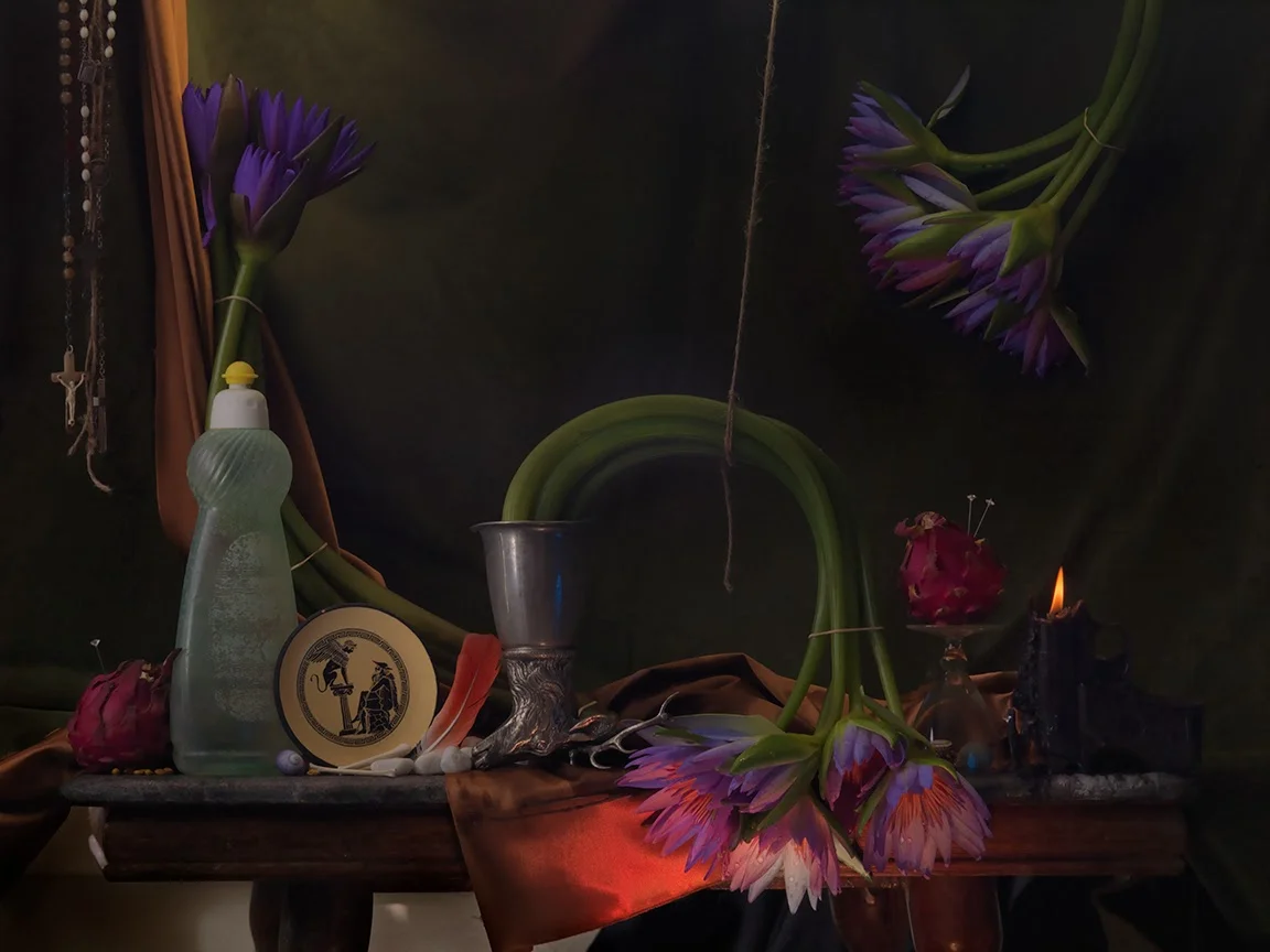 Still Life with Waterlilies, Dragon Fruit and Sphynx, Ripiro 2013