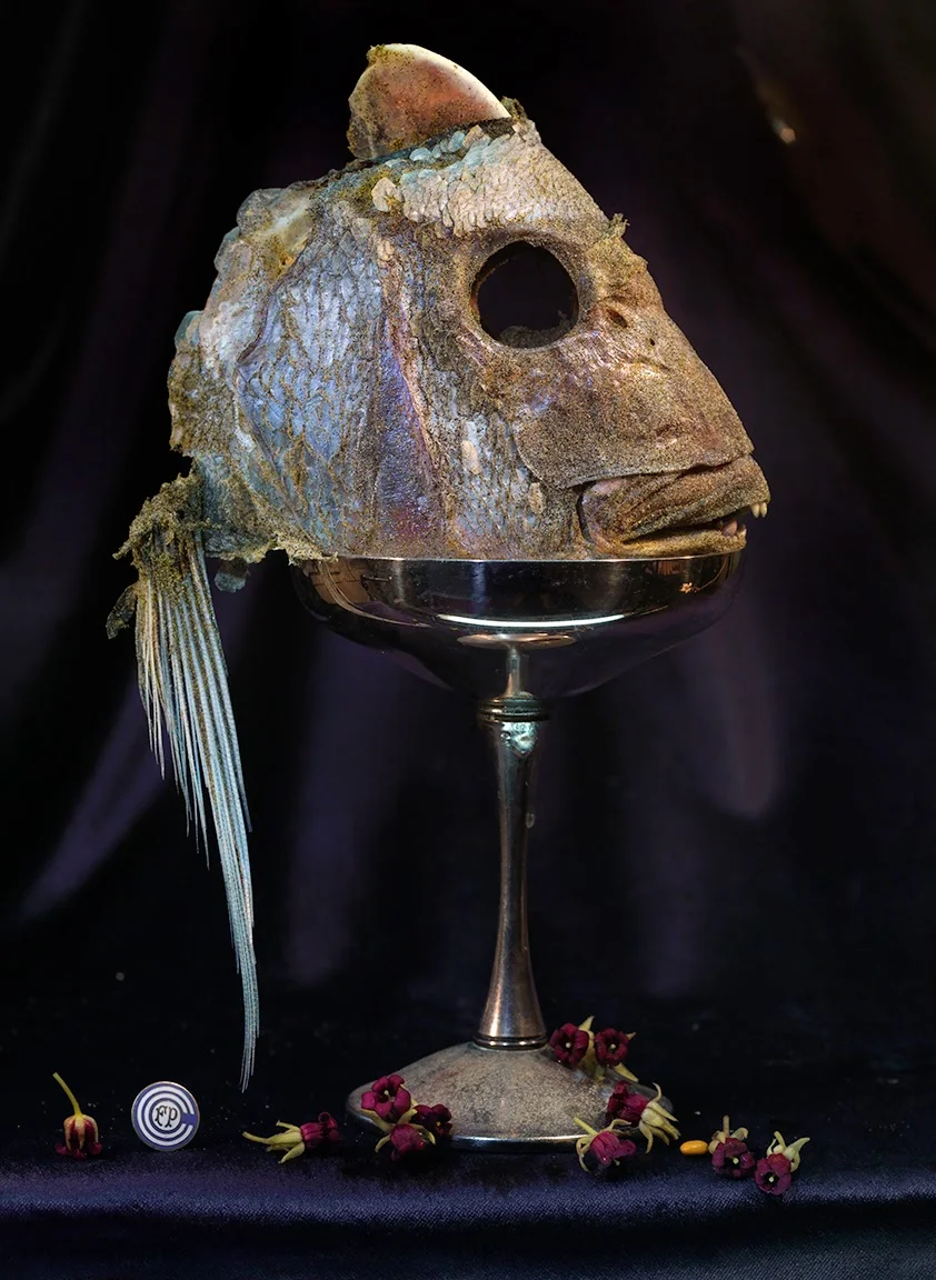 Fish Head in a Silver Goblet with Rautawhiri Flowers, Ripiro 2014