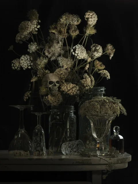 Still Life with Hemlock and Dice 2011.jpeg