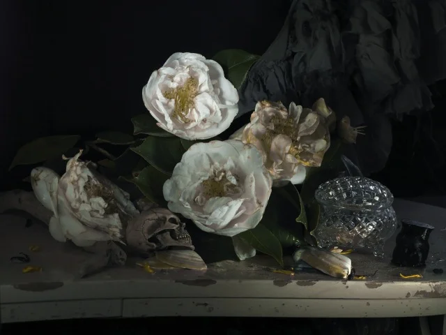 Still Life with My mother's Camellia and Mokohinau Black Coral 2011.jpeg