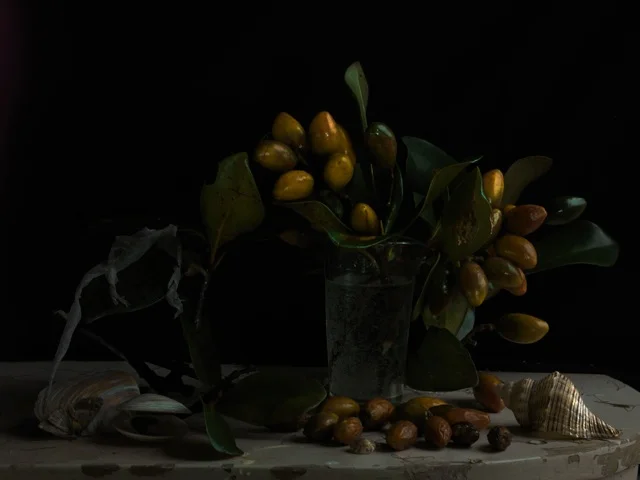 Still Life with Karaka Drupes and Gecko Skin 2012.jpeg