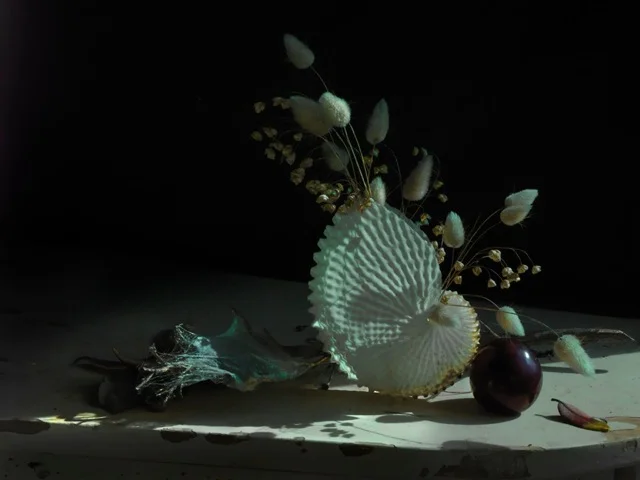 Still Life with Paper Nautilus and Plum 2012.jpeg