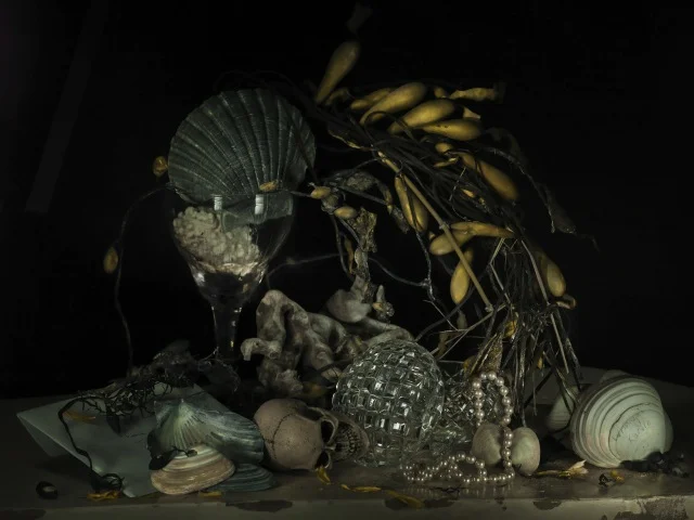 Still Life with Pearls and Whangai Karoro 2011.jpeg
