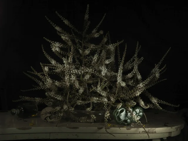 Still Life with Ti Kouka Flower and Heitiki 2011.jpeg