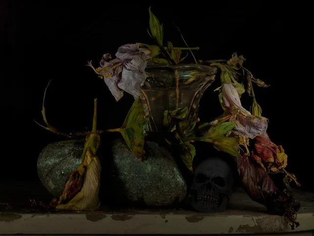 StillLifewithBluff Rock andDeadHibiscus11.jpeg