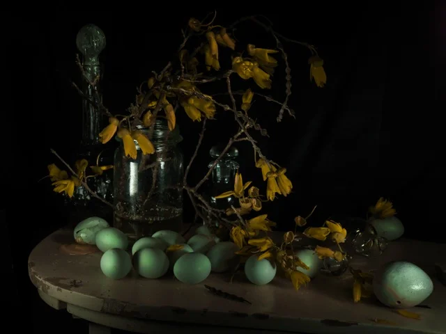 StillLife with Kowhai and Aracana Eggs2011.jpeg