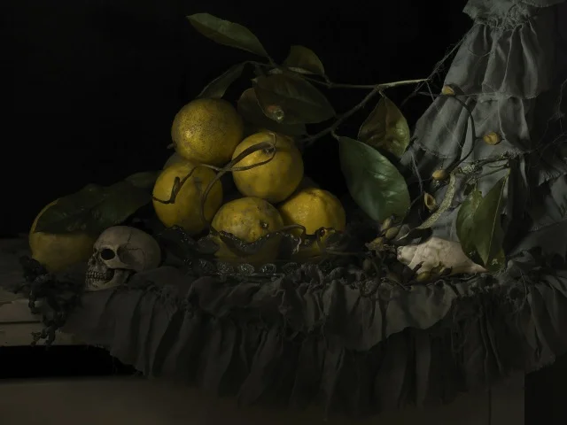 Still life with Seaweed and Lemons 2011.jpeg