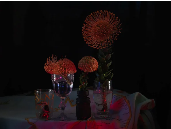 Still Life with Kookaburra, Deoderant bottle and Protea