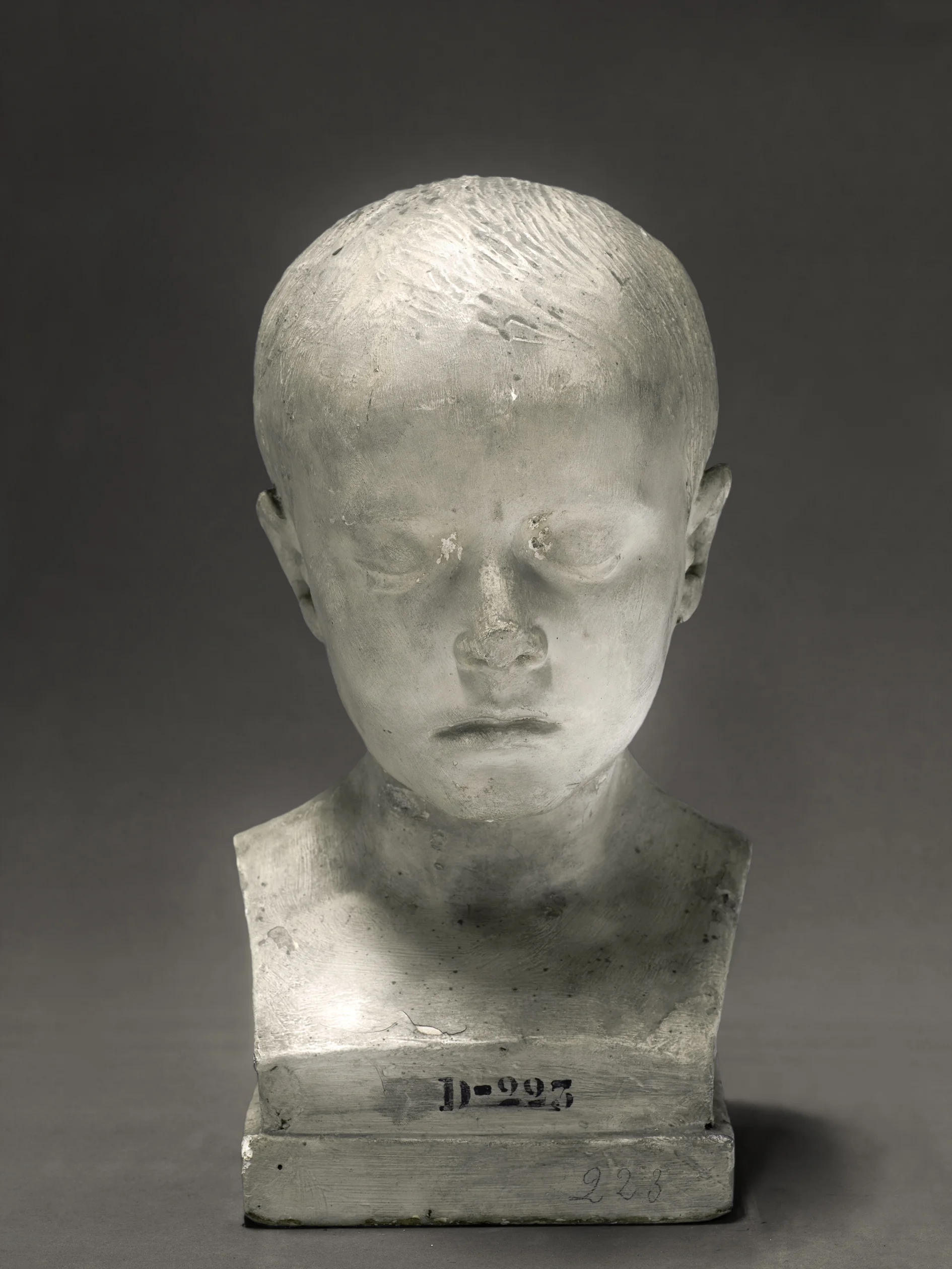 Portrait of a life cast of Jules d'Urville