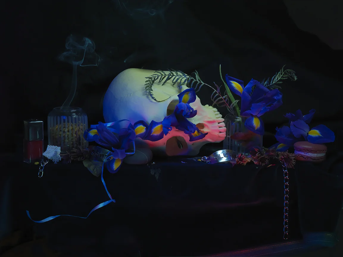 Still Life with Iris, Skull and Magnolia, from the Colin McCahon Residency 2013