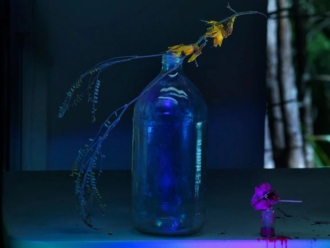 e-Colin's Flagon with Precarious Kowhai Flowers and a Pansy McCahon 2013_1201.jpg