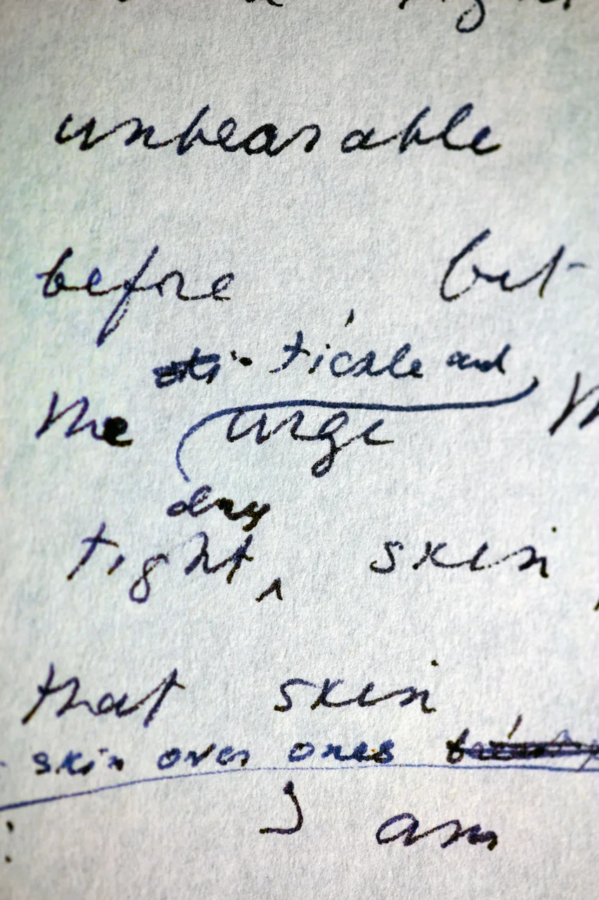 That Skin, I Am: Insect metamorphosis, 1, 2016. In Nabokov’s copy of R. L. Stevenson , Essays in the art of writing, Chatto and Windus 1920 . With thanks New York Public Library.