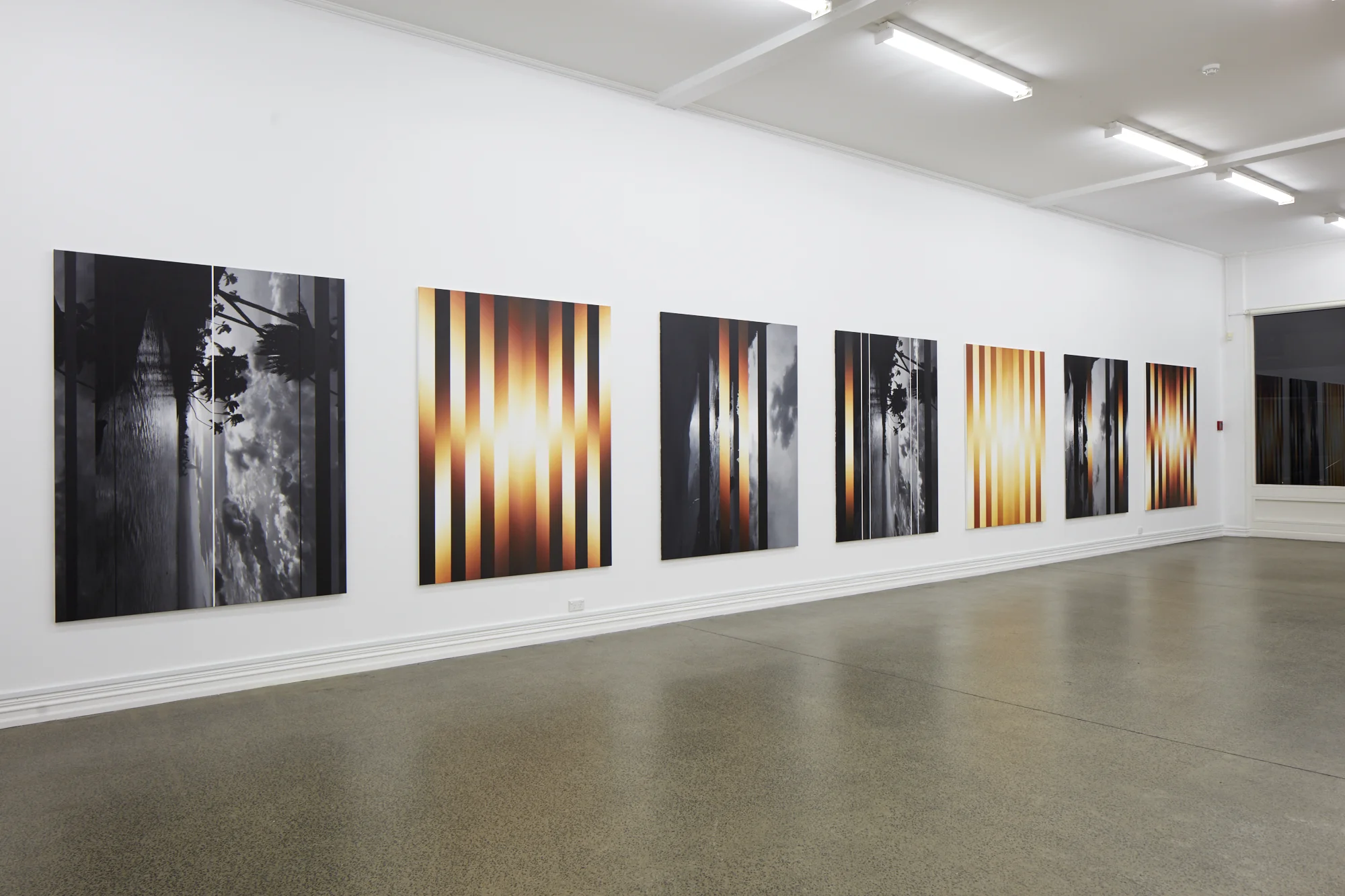 Martin Basher, Hawaiian Tropic, installation view, 2017