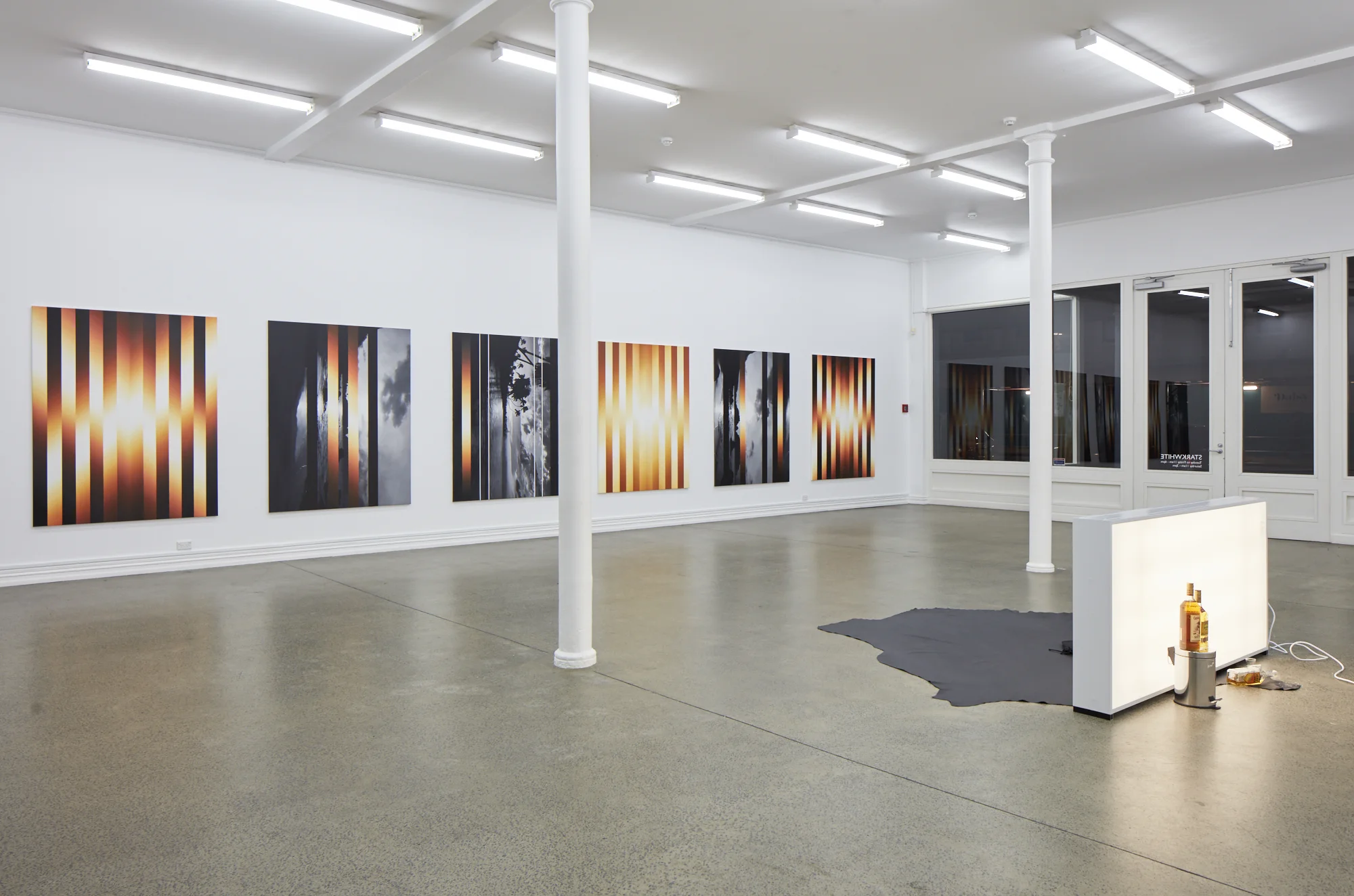 installation view Hawaiian Tropic 2017