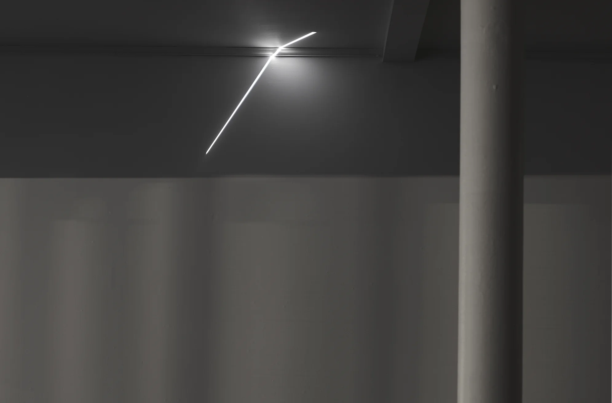 DVS_43A4450web.jpg