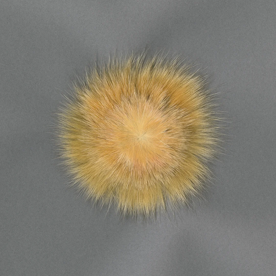 Gavin Hipkins, The Shaman (Yellow), 2006, unique archival pigment print, 1200 x 1200 mm