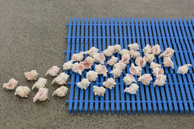 Alicia Frankovich, The Female has Undergone Several Manifestations , installation view, Starkwhite, 2016